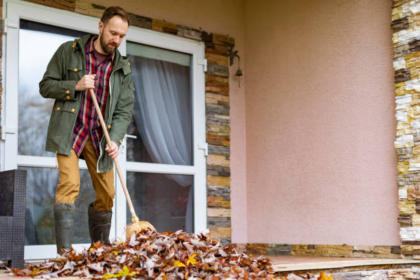 Best Affordable Junk Removal Services  in Curtice, OH