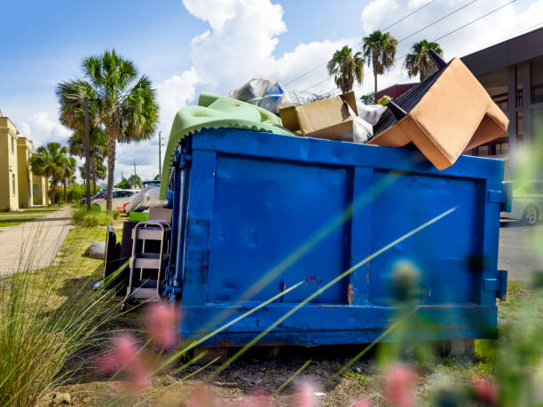 Yard Cleanup Services in Curtice, OH